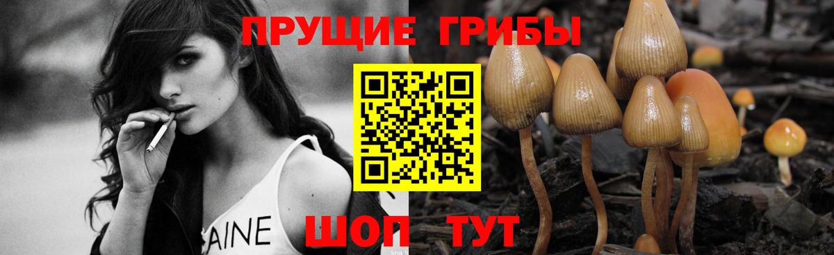 Галлюциногенные грибы MAGIC MUSHROOMS  Псилоцибиновые грибы Magic Shrooms  Петропавловск-Камчатский  Вход с VPN 